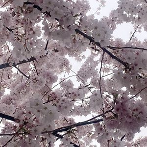 Meet your Posher, Bethany